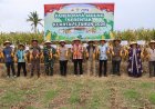 Wujudkan Swasembada Pangan, Kapolres Sumbawa Gelar Panen Raya Jagung Serentak Kuartal I Tahun 2026
