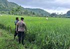 Dukung Ketahanan Pangan, Bhabinkamtibmas Desa Sampe Ajak Warga Ubah Pekarangan Jadi Kebun Sayur